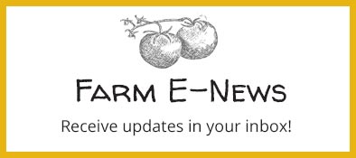 None Such Farm Newsletter