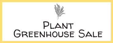 Nursery plants availability